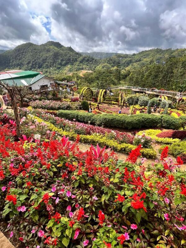 Cebu: Trans-central Highway Mountain Tour - FAQ