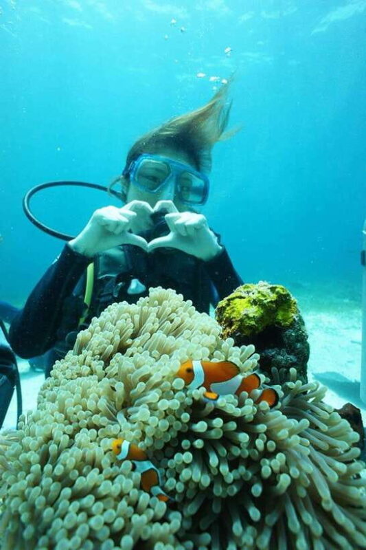 CEBU: Try diving & souvenir underwater photo - Good To Know