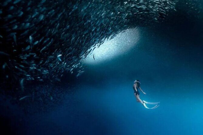 Cebu Tumalog, Inambakan Falls, Sardines and Whaleshark Watching - Good To Know