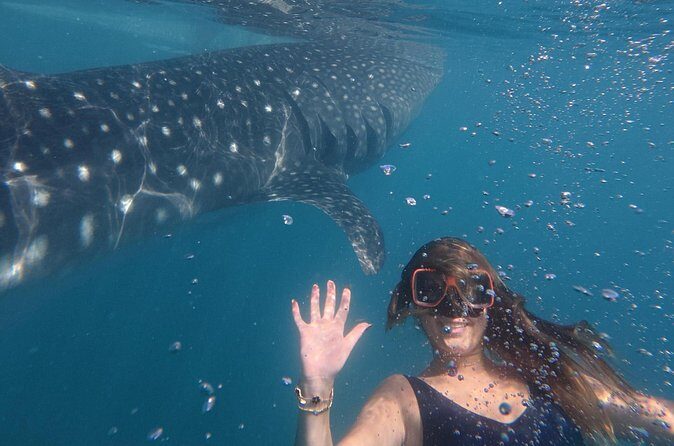 Cebu Tumalog, Inambakan Falls, Sardines and Whaleshark Watching - The Sum Up