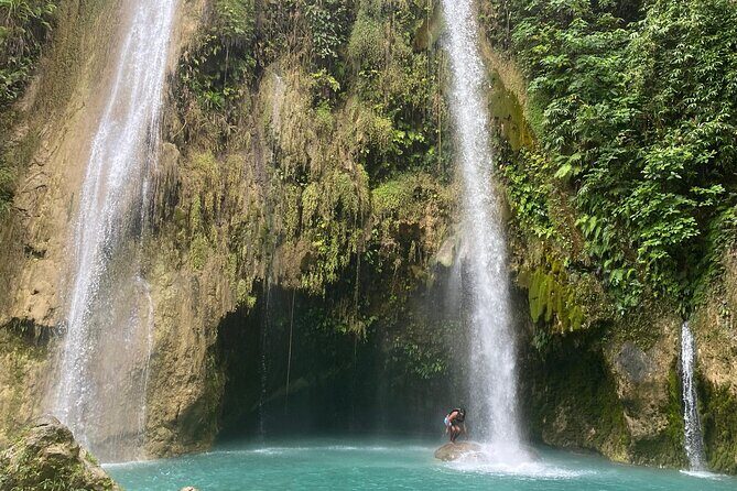 Cebu Tumalog, Inambakan Falls, Sardines and Whaleshark Watching - Practical Details and What You Can Expect