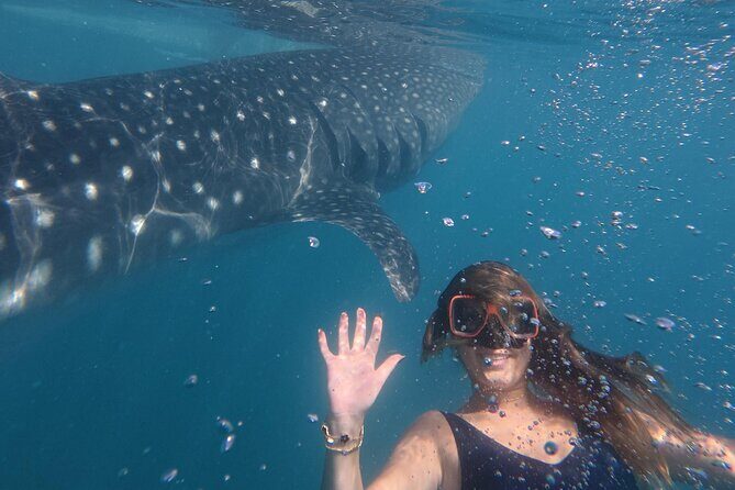 Cebu Tumalog, Inambakan Falls, Sardines and Whaleshark Watching - Why This Tour Might Be Perfect for You