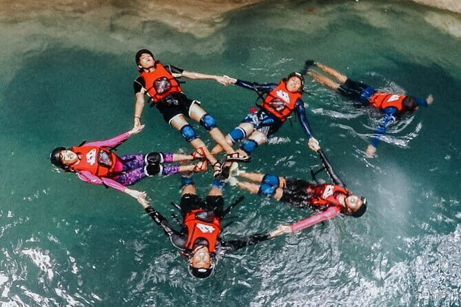 Cebu Ultimate Oslob Whale Shark and Moalboal Turtles Joiner Tour - Who Would Love This Tour?