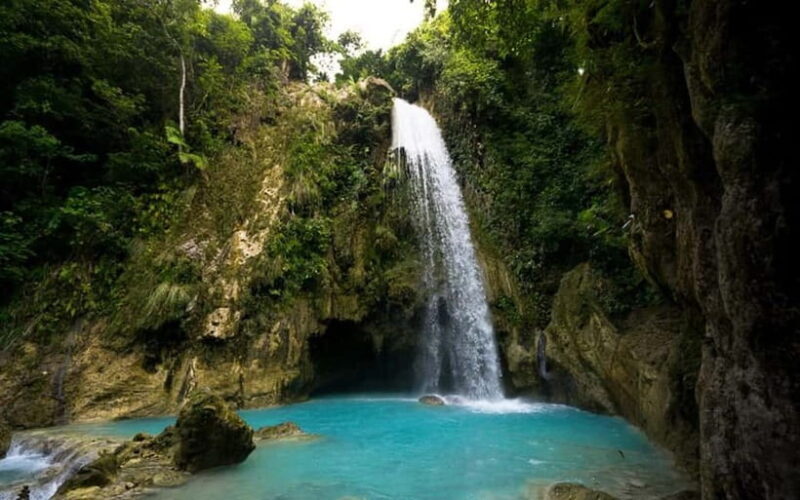 Cebu: Whale Shark, and Sumilon Sandbar and Inambakan Falls - Good To Know