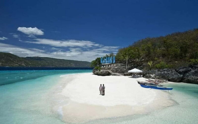 Cebu: Whale Shark, and Sumilon Sandbar and Inambakan Falls - Good To Know