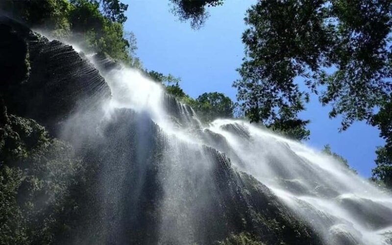Cebu: Whale Shark, and Sumilon Sandbar and Inambakan Falls - Tumalog Falls: A Refreshing Break