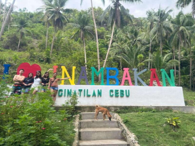 Cebu: Whale Shark, Inambakan Falls & Moalboal Sardine Tour - Good To Know