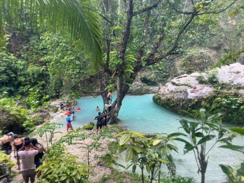 Cebu: Whale Shark, Inambakan Falls & Moalboal Sardine Tour - The Breakdown: What to Expect from This Cebu Tour