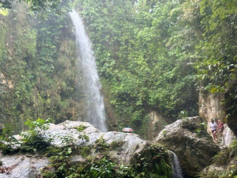 Cebu: Whale Shark, Inambakan Falls & Moalboal Sardine Tour - Practical Tips for Your Day