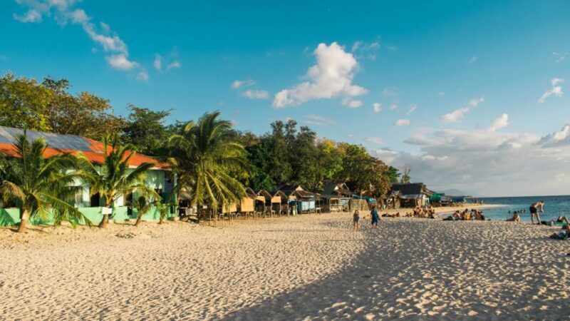 Cebu: Whale Shark, Monkey Sanctuary, & Moalboal Turtles Tour - FAQs