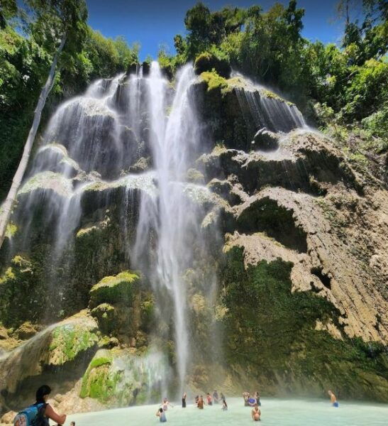 Cebu: Whale Shark & Mysterious Waterfall Private Tour - Common Questions