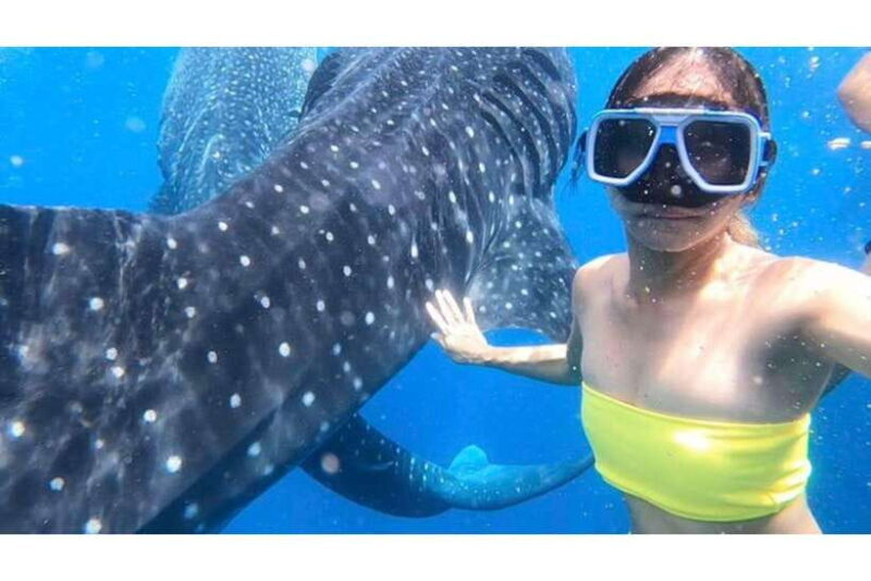 Cebu: Whale Shark Swim and Kawasan Canyoneering Group Tour - Discovering the Best of Cebus Marine and Mountain Wonders