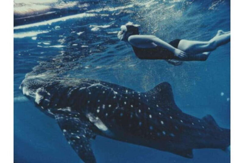 Cebu: Whale Shark Swim and Kawasan Canyoneering Group Tour - From Sea to Land: Kawasan Canyoneering Adventure