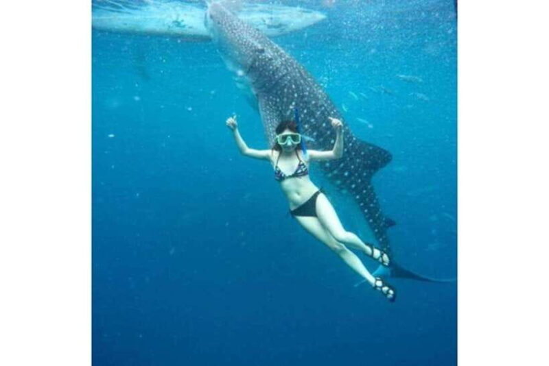 Cebu: Whale Shark Swim and Kawasan Canyoneering Group Tour - Final Thoughts