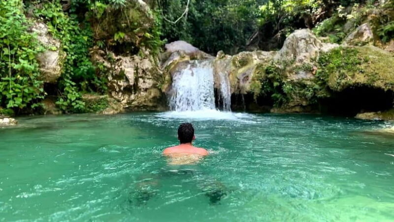 Cebu: Whale Shark Swimming & Inambakan Falls Adventure - Good To Know