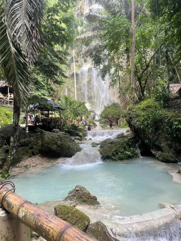 Cebu: Whale Shark, Tumalog Falls & Moalboal Turtles Tour - FAQ