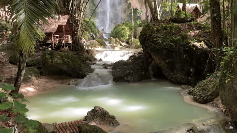 Cebu: Whale Shark Watching, Tumalog Falls & Sumilon Island - Frequently Asked Questions