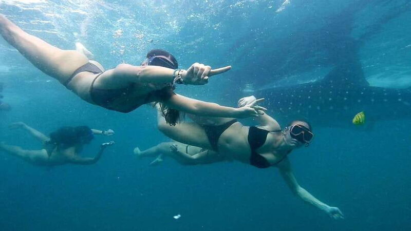 Cebu: Whale Sharks, Ka-Treasure Water Terraces & Simala Tour - Good To Know