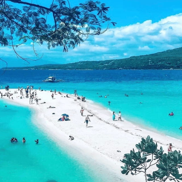 Cebu Whale Sharks Tumalog Falls Sumilon - Good To Know