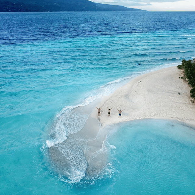 Cebu Whale Sharks Tumalog Falls Sumilon - Who Should Consider This Tour?