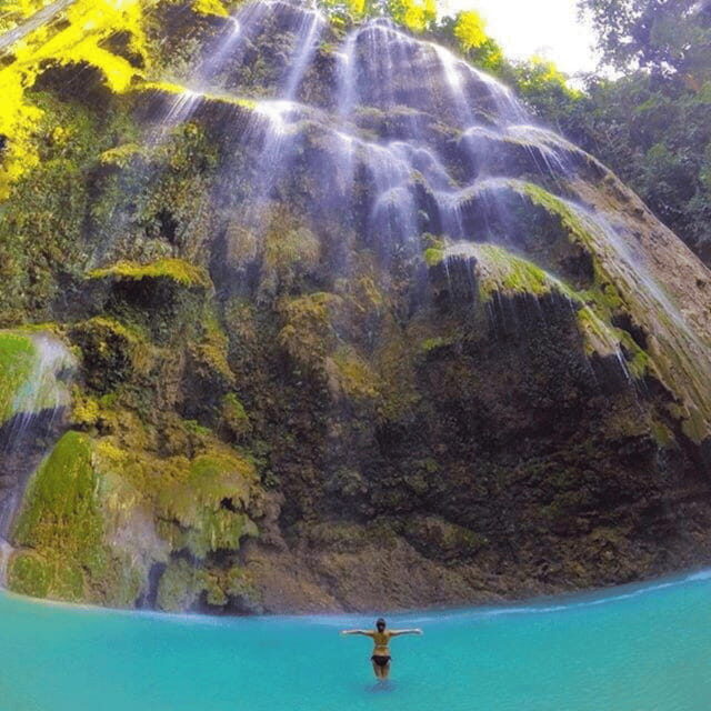 Cebu Whale Sharks Tumalog Falls Sumilon - FAQs