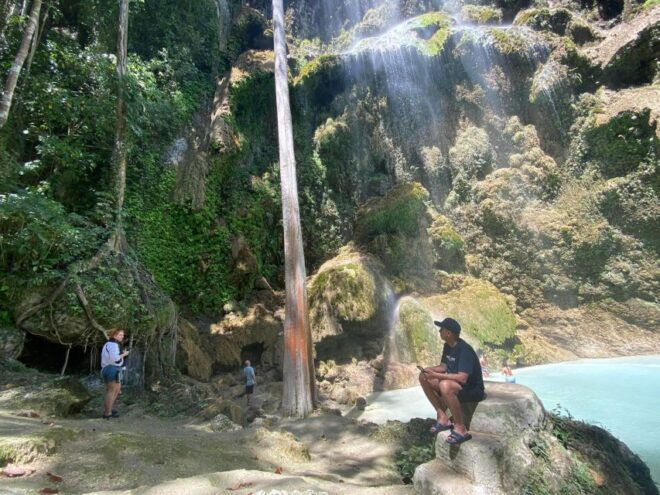 Cebu: Whale Sharks, Tumalog Falls & Sumilon Island Day Tour - Full Tour Description