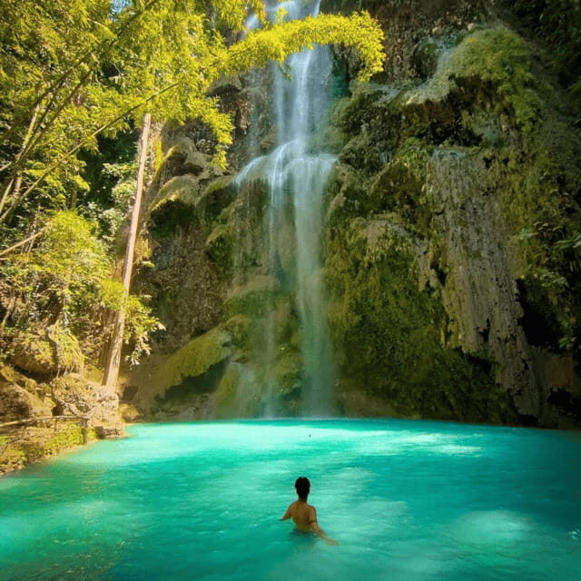 Cebu Whale Sharks Tumalog Falls Sumilon - Exploring Cebu’s Natural Wonders: Whale Sharks, Tumalog Falls & Sumilon Sandbar