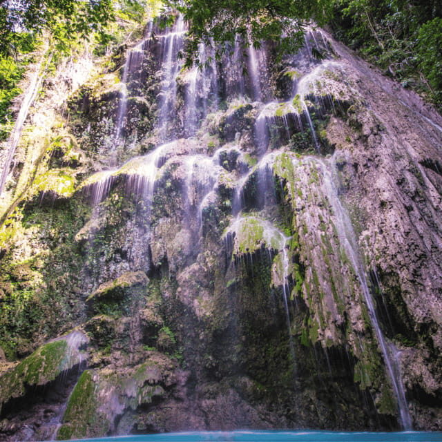 Cebu Whale Sharks Tumalog Falls Sumilon - Authentic Insights from Reviewers