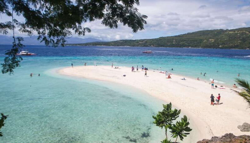 Cebu: Whaleshark Encounter, Tumalog Falls & Sumilon Sandbar - FAQ