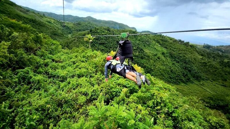 Cebu: Whaleshark Swimming & Kawasan falls Canyoneering Tour - Authentic Experiences from Reviews