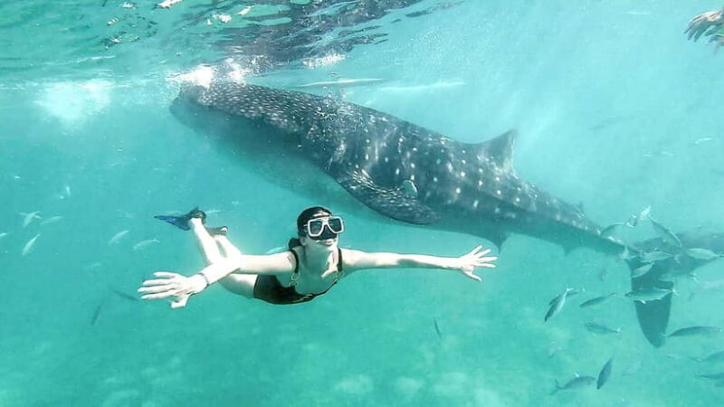 Cebu: Whaleshark Swimming & Kawasan falls Canyoneering Tour - Final Thoughts