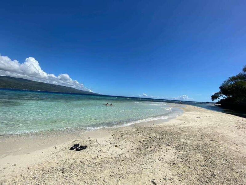 Cebu: Whalesharks, Sumilon Sandbar & Tumalog Falls Tour - Who Is This Tour Best For?