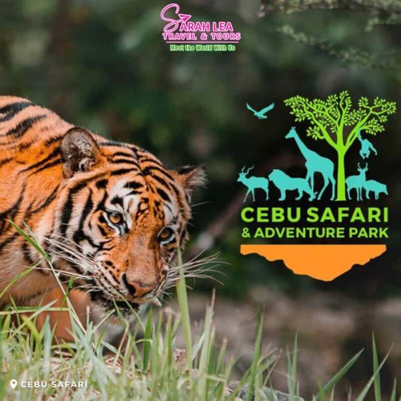 Cebu: Wildlife & Adventure Safari Experience - A detailed look at Cebu: Wildlife & Adventure Safari Experience