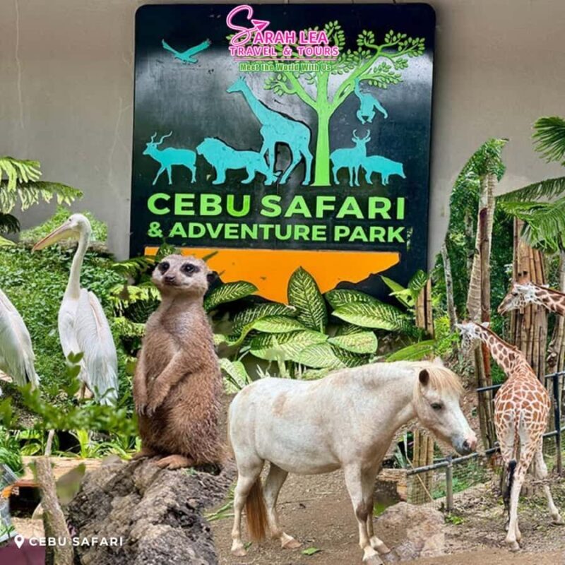 Cebu: Wildlife & Adventure Safari Experience - Considerations and potential drawbacks