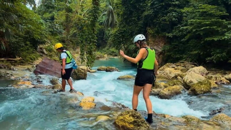 Cebu:Oslob Whale Shark Swimming & Kawasan Falls Canyoneering - Authentic Experiences & Review Insights