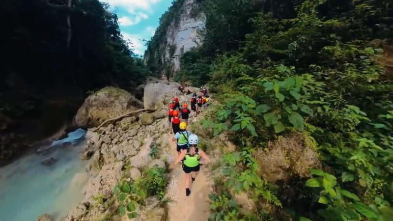 Cebu:Oslob Whale Shark Swimming & Kawasan Falls Canyoneering - The Sum Up