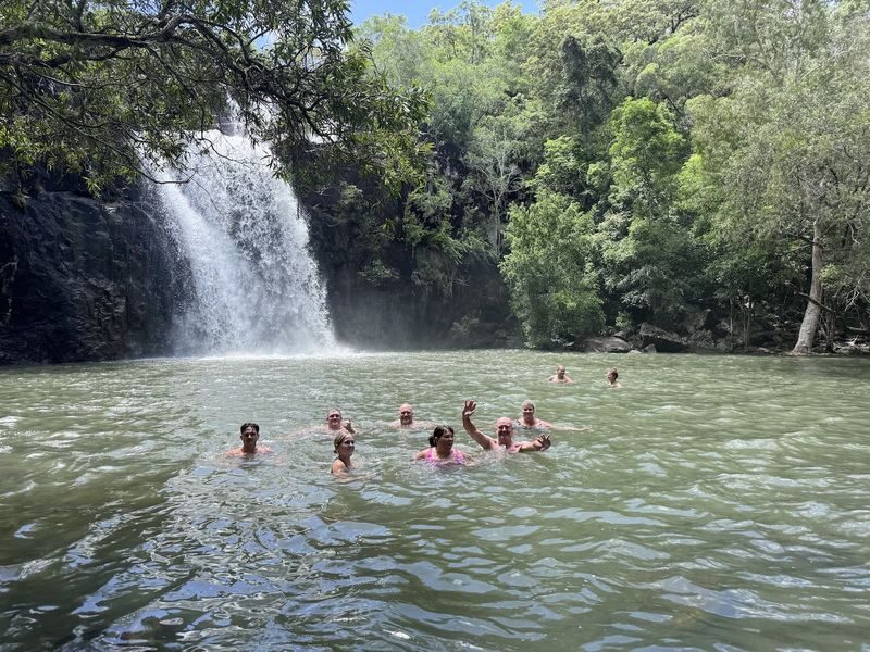 Cedar Creek Express Tour - A short nature break from Airlie Beach