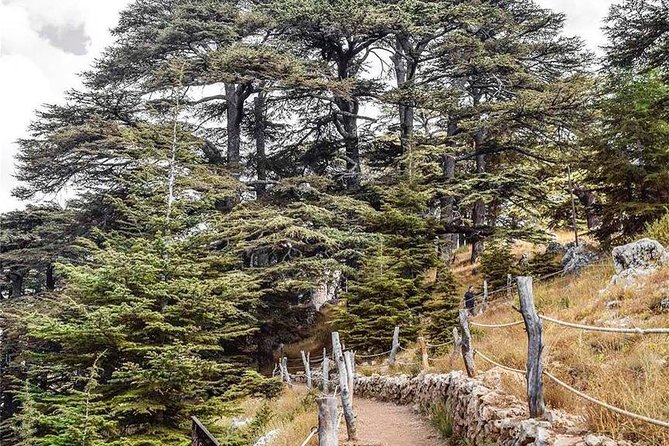 Cedars of Lebanon, Qozhaya, & Bcharre - With Lunch (4G on Board) - Tour Highlights