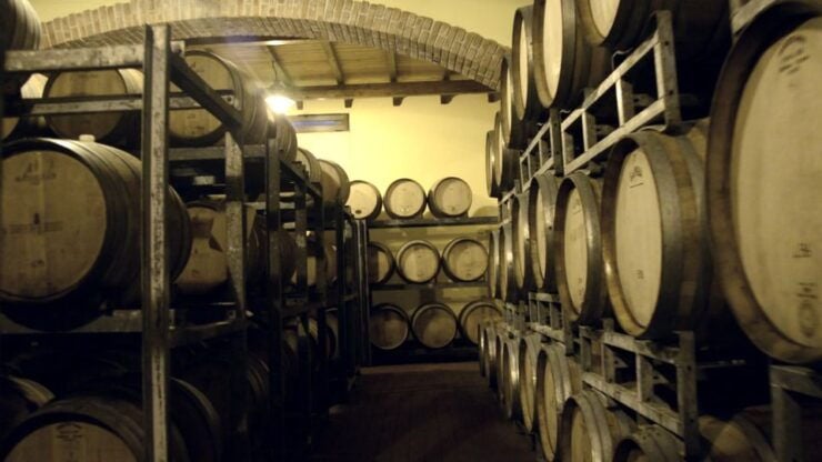 Cefalù: Half-Day Wine Tasting Tour in Castelbuono - Tour Details