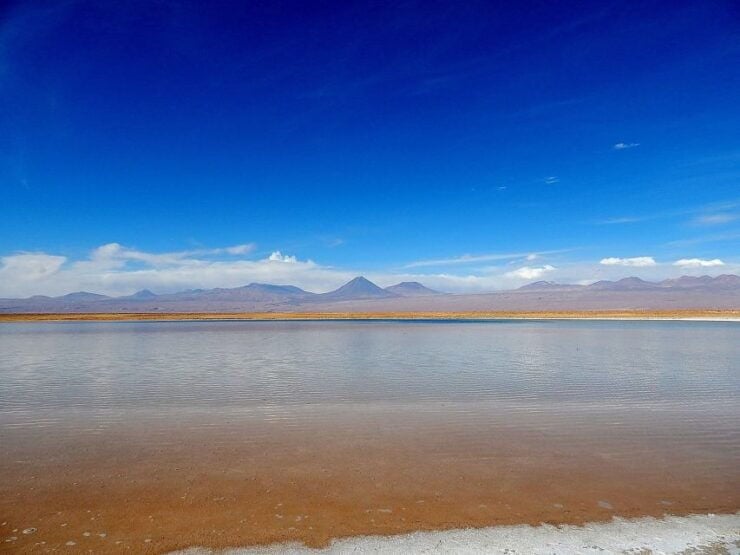 Cejar Lagoon, Tebinquinche Lagoon, and Ojos Del Salar - Booking and Cancellation Policy