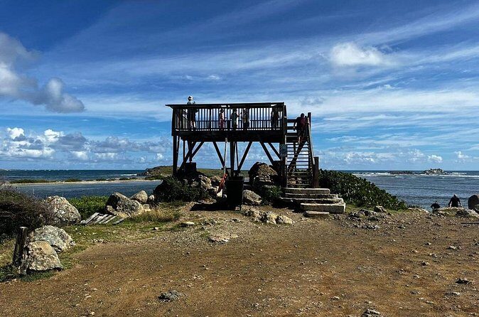 Celeb Island Adventure Tour - FAQ