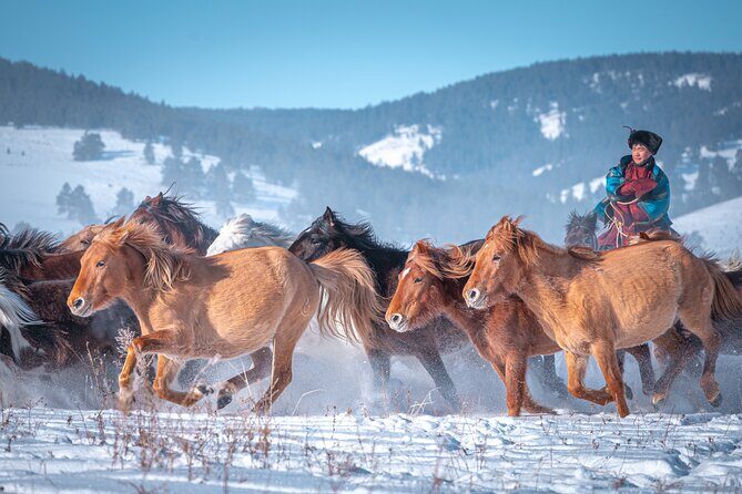 Celebrate Mongolias New Year the Nomadic Way - Good To Know
