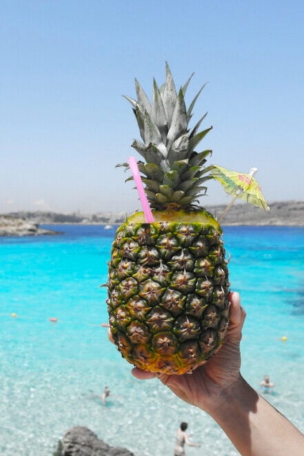 Celebration Sail - Lover's Cave, Comino, Gozo & Blue Lagoon - Arrival and Timing