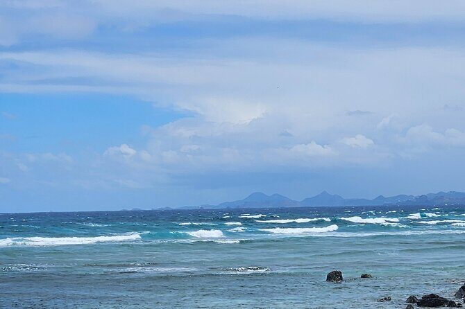 Celebrity Island Adventure Tours - A Complete Breakdown of Celebrity Island Adventure Tours