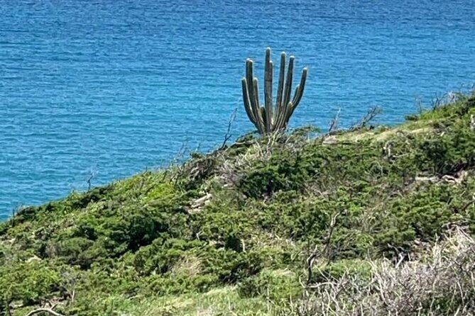 Celebrity Island Adventure Tours - Who Should Book This Tour?