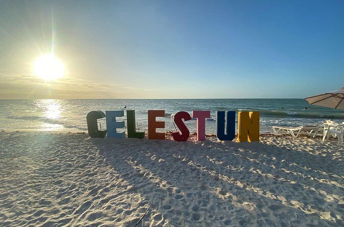 Celestun and Sisal Tour from Mérida - The Sum Up