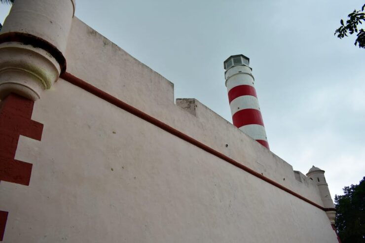 Celestun and Sisal Tour - Good To Know