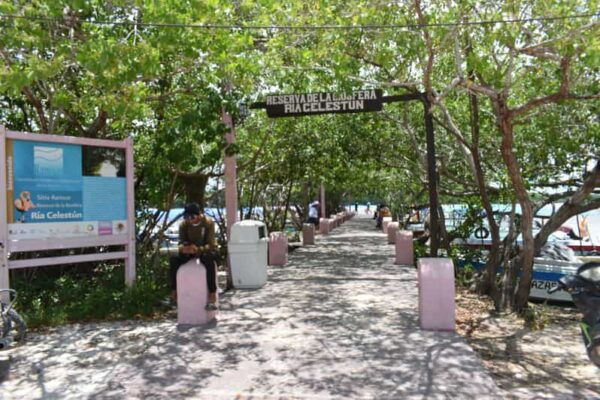 Celestun and Sisal Tour - Pricing and Duration