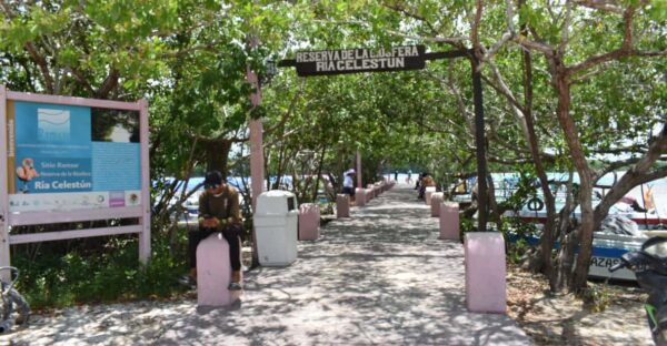 Celestun and Sisal Tour - Frequently Asked Questions