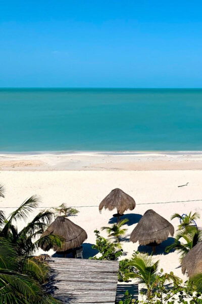 Celestun Beach and Mangrove Boat Ride Experience From Merida - Wildlife Sightseeing